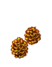matsu2