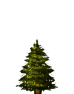 tree1