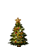 tree2